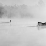 Paisaje de Paraná, Entre Ríos